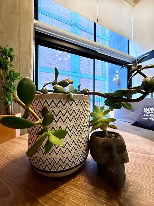 Indust Apartamento Medellín